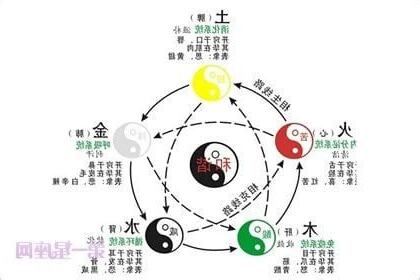 五行屬性 查詢
